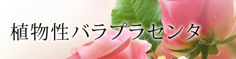 �v���`�i�Z���^���T�C�g